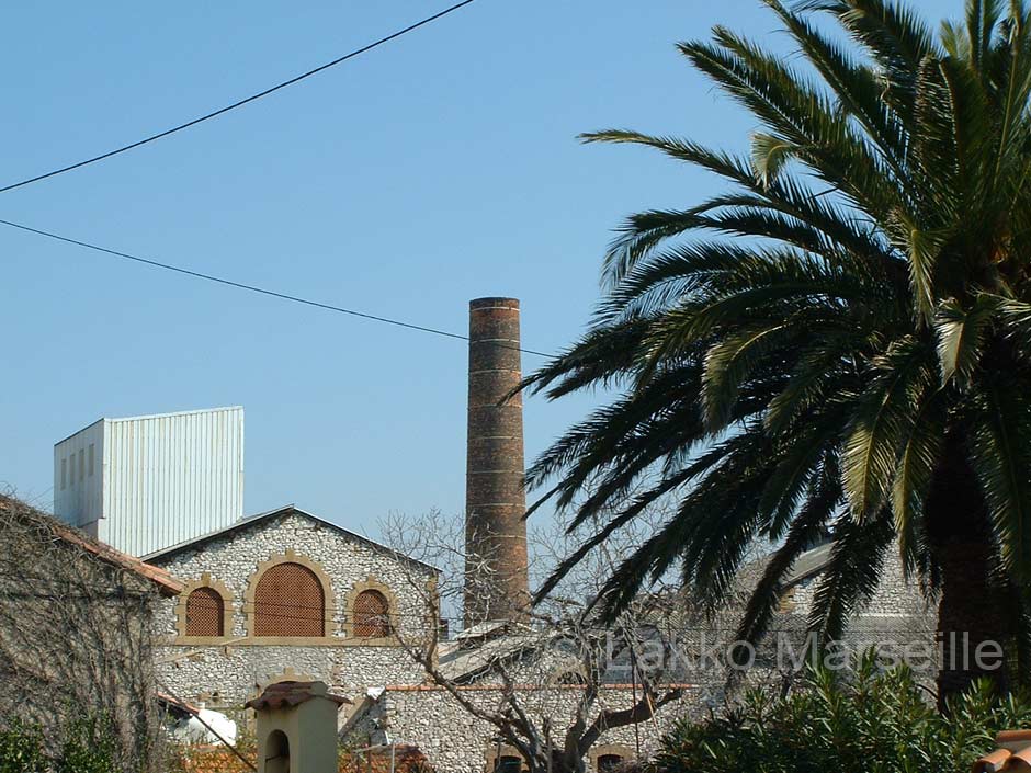 chemine et palmier  la Madrague de Montredon